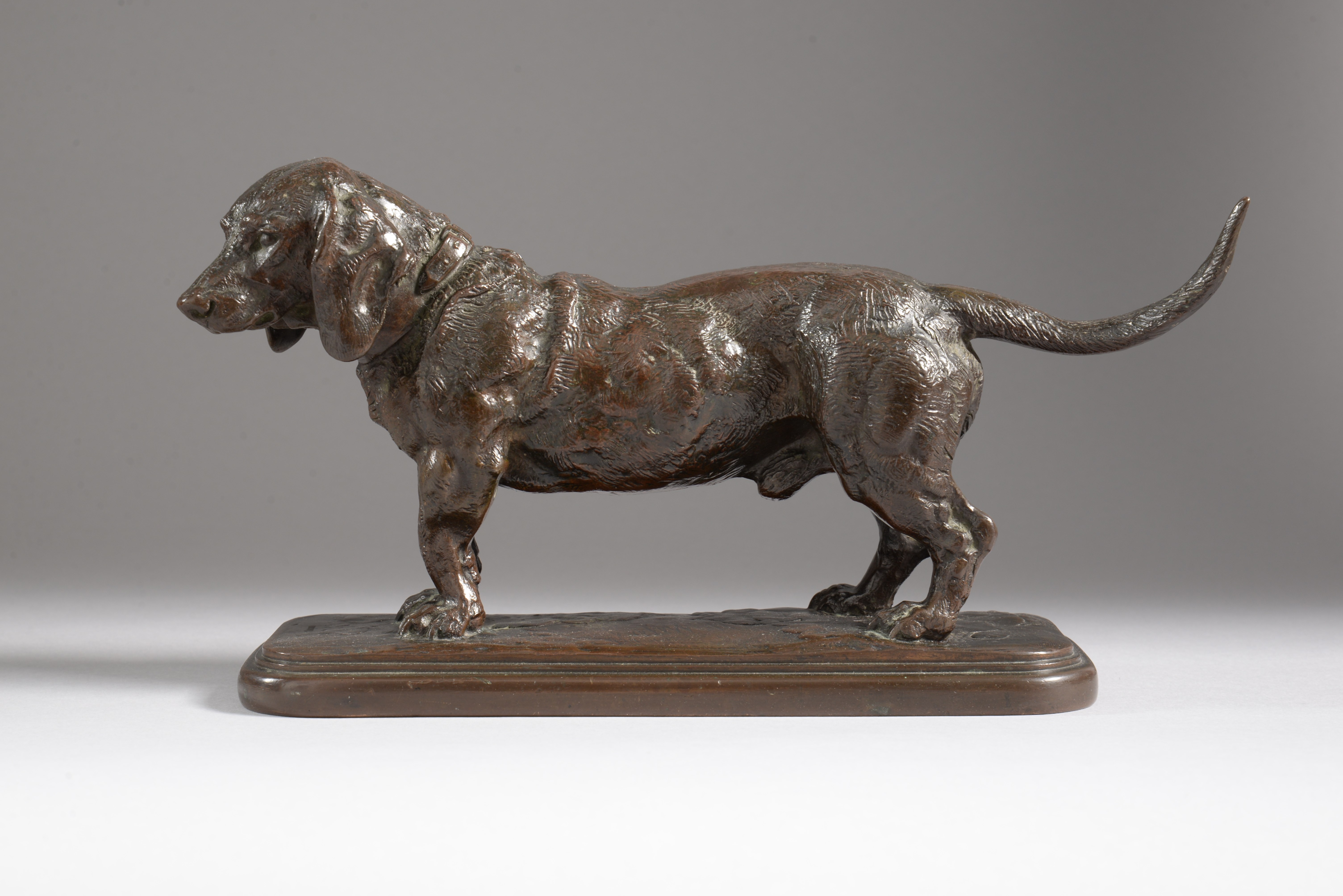 BASSET DEBOUT (tête tournée à gauche) (1840)